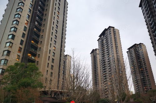 仁恒公園世紀(jì)優(yōu)點 不足,仁恒公園世紀(jì)怎么樣,仁恒公園世紀(jì)周邊房產(chǎn)中介經(jīng)紀(jì)人評價