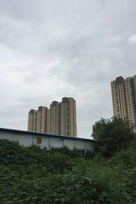 查看九州方圓國際靠譜人氣經(jīng)紀(jì)人!